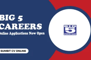 Big 5 Careers